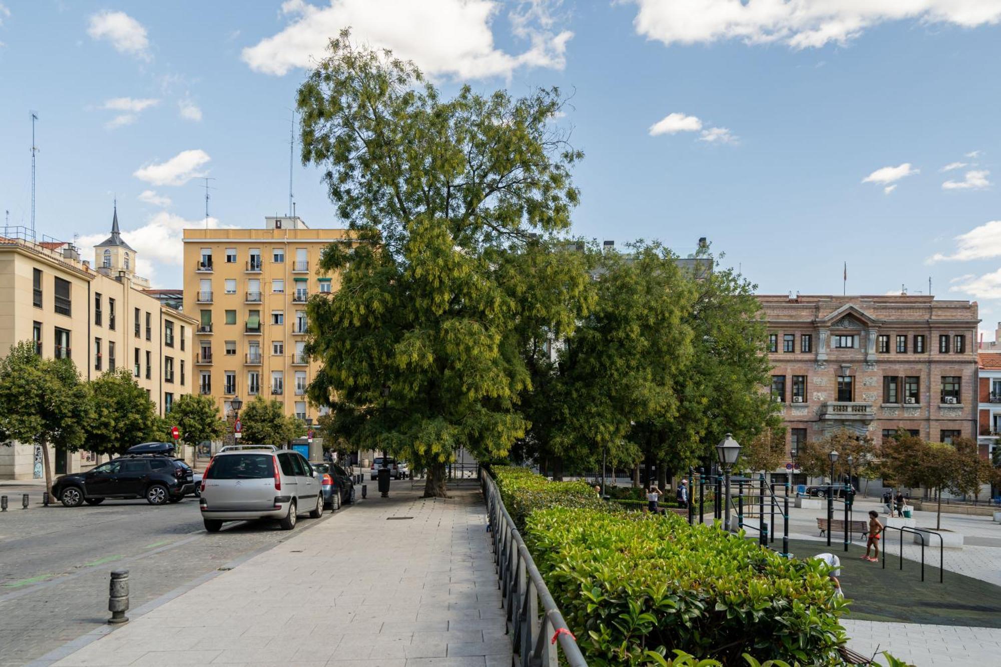 Precioso La Latina-rastro Arn Apartment Madrid